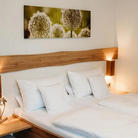 Berghof Wasserkuppe Und Gaestehaus Fuldaquelle 3* Gersfeld