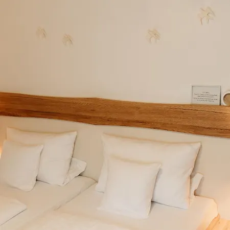 Berghof Wasserkuppe Und Gaestehaus Fuldaquelle Hotel Gersfeld